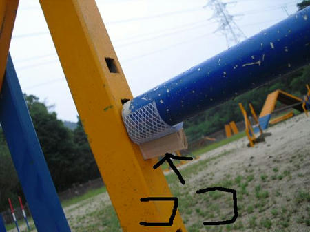 c370198c.JPG