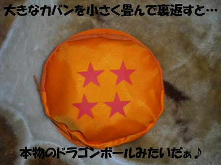 CIMG3308.JPG