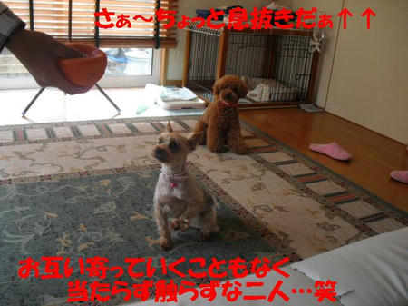 CIMG5740.JPG