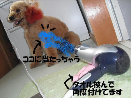 CIMG5754.JPG