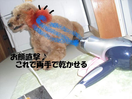 CIMG5753.JPG