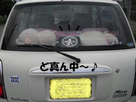 CIMG5771.JPG