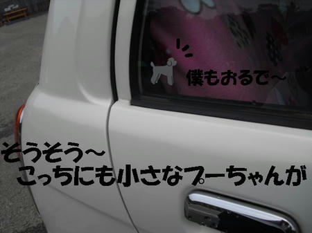 CIMG5777.JPG