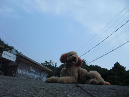 CIMG5769.JPG