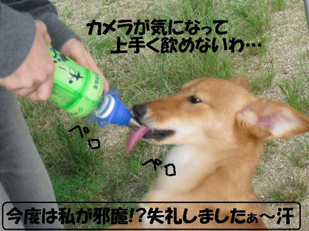 59f2d6b0.JPG