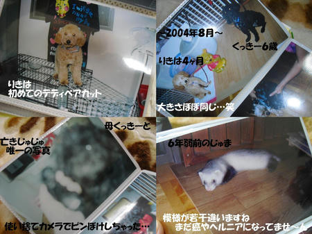 f5637fe6.JPG