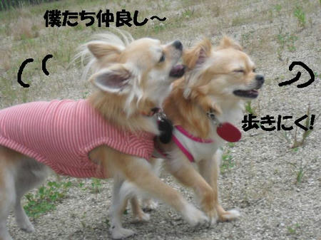 d48f1d23.JPG