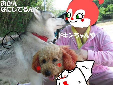 c02bacd6.JPG