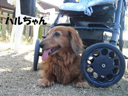 f3b1f9c5.JPG