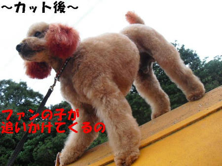 30688f04.JPG