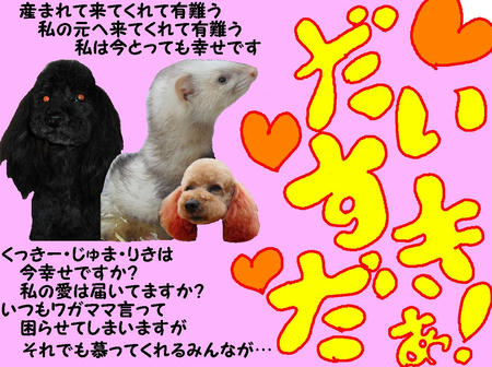 4d133b81.JPG