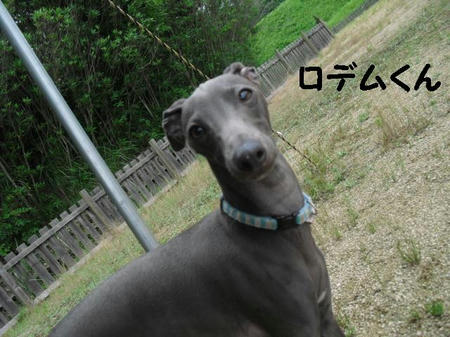 CIMG7636.JPG
