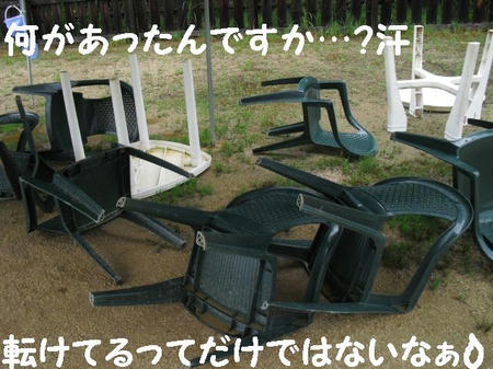 CIMG7513.JPG