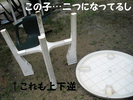 CIMG7514.JPG