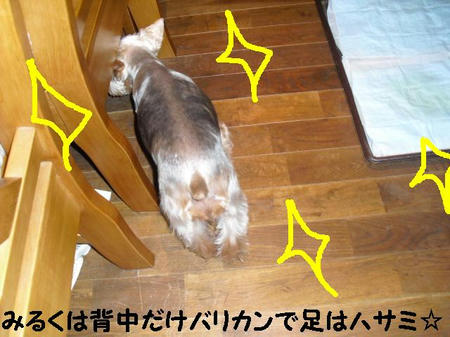 CIMG7674.JPG