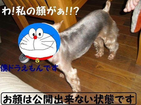 CIMG7673.JPG