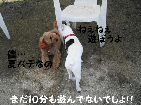 CIMG7880.JPG