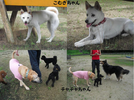 d7f11d75.JPG