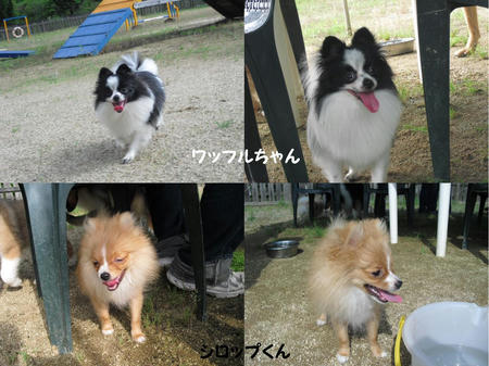 60c14bd8.JPG