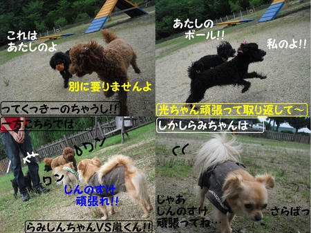 8ef01cd5.JPG