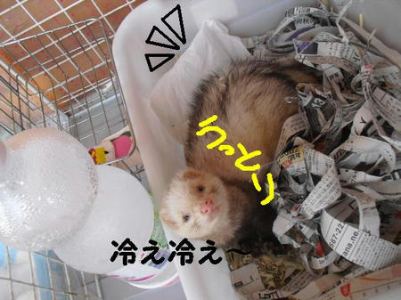 CIMG7529.JPG
