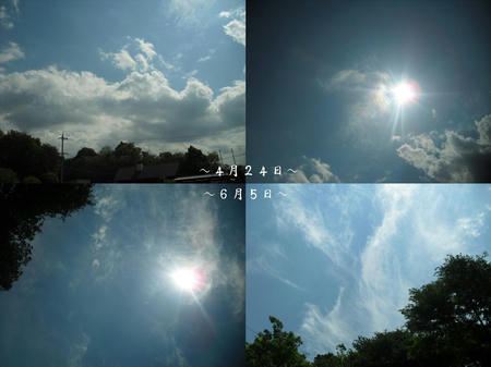 4179237d.JPG