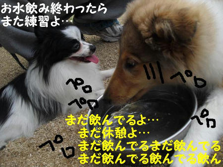 07aa60aa.JPG