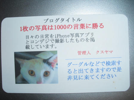 CIMG8526.JPG