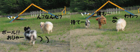 86a9ee97.JPG