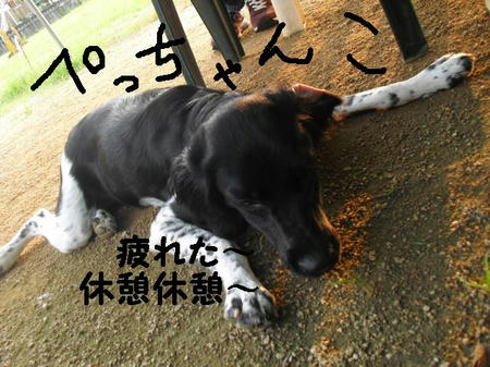CIMG8812.JPG