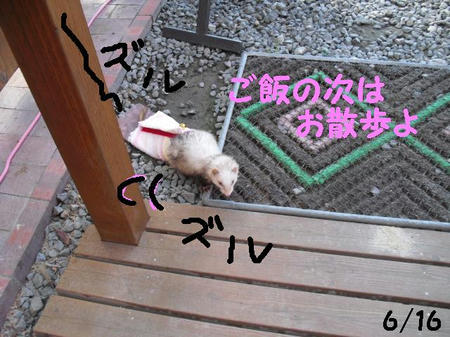 CIMG7412.JPG