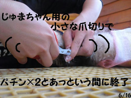 CIMG7418.JPG