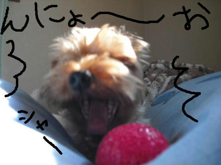 CIMG0057.JPG
