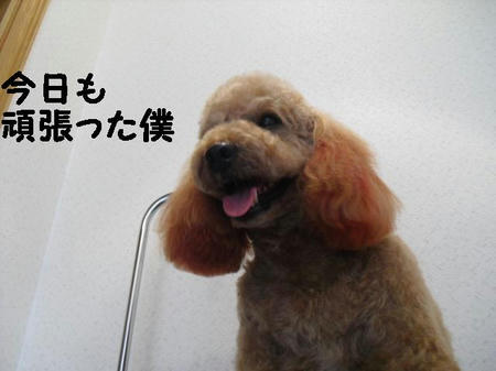 6060339d.JPG