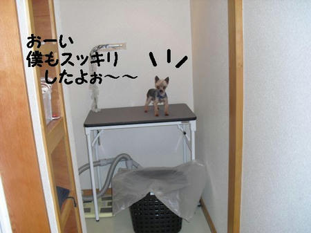 CIMG9093.JPG