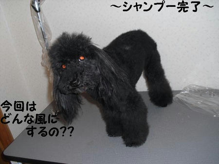 1f2d3b90.JPG