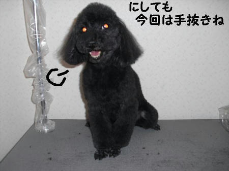 CIMG9105.JPG