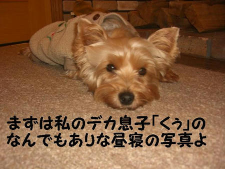 a353a74d.JPG