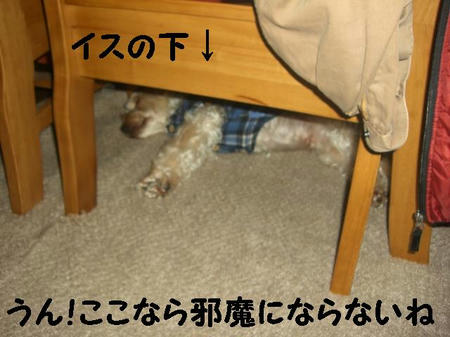 1170c372.JPG