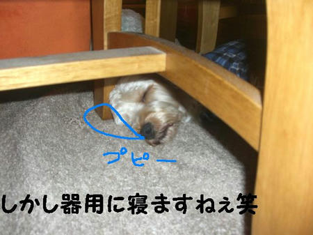 54a52ed1.JPG