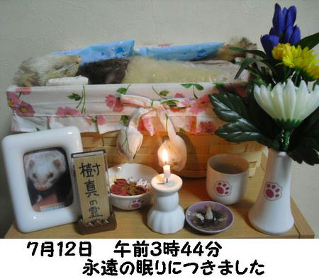 cb0b662e.JPG