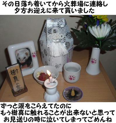 90b1a9d7.JPG
