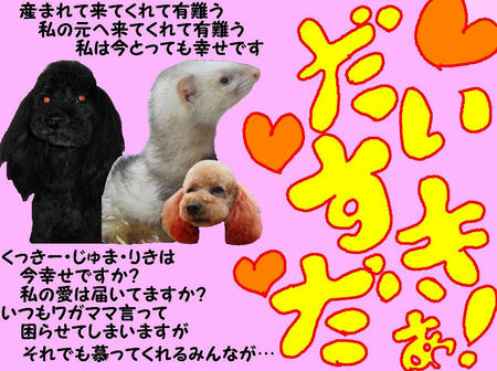 106.jpg