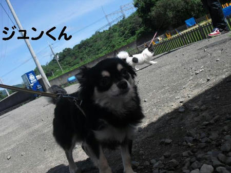 084136bb.JPG