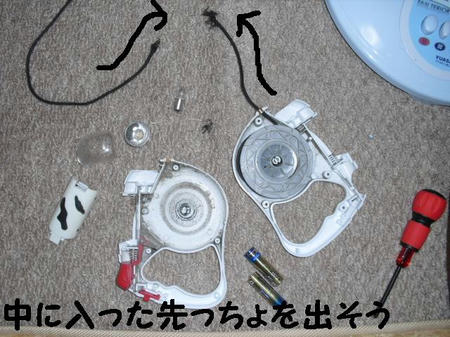 CIMG9521.JPG