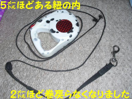CIMG9523.JPG