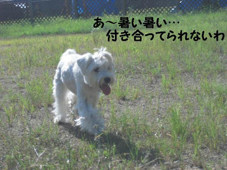 CIMG9585.JPG