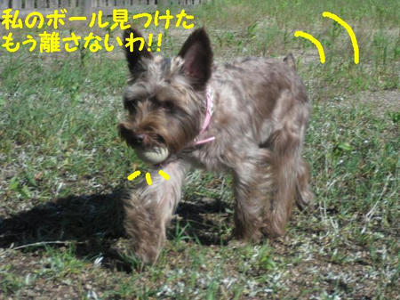 CIMG9590.JPG