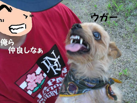 CIMG9620.JPG