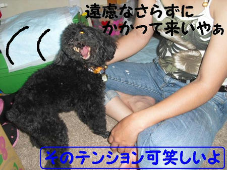 CIMG9629.JPG